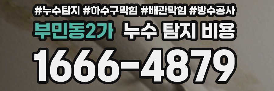 부민동2가 누수 탐지 비용