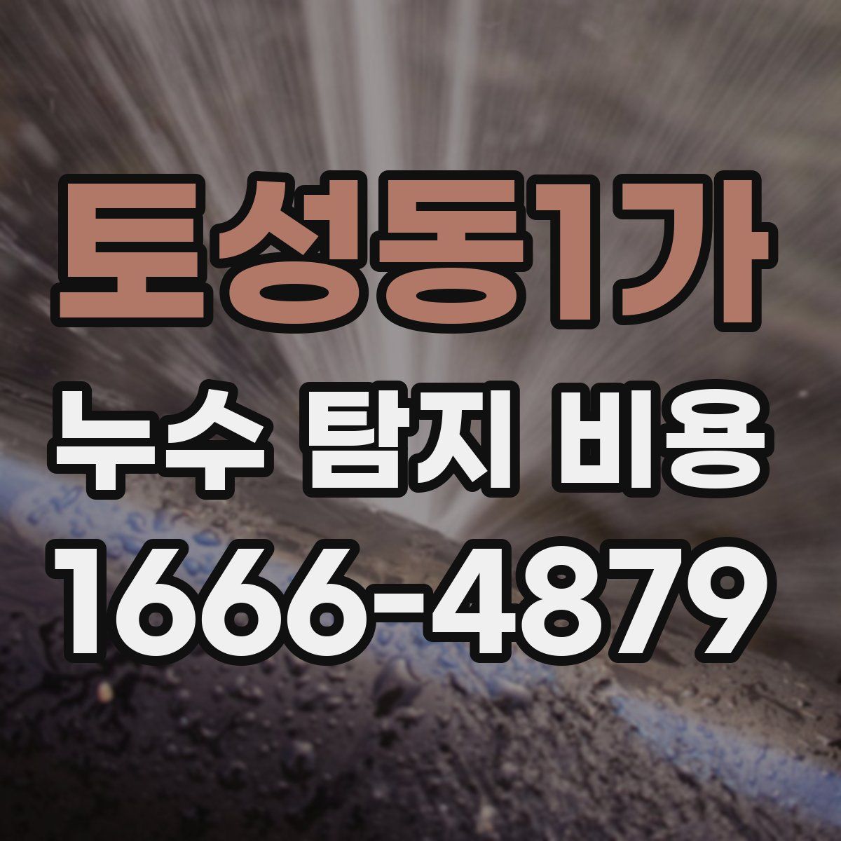 토성동1가 누수 탐지 비용