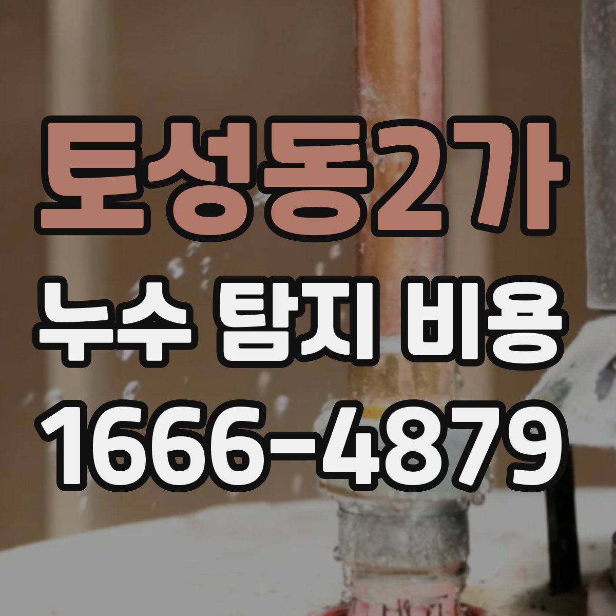 토성동2가 누수 탐지 비용