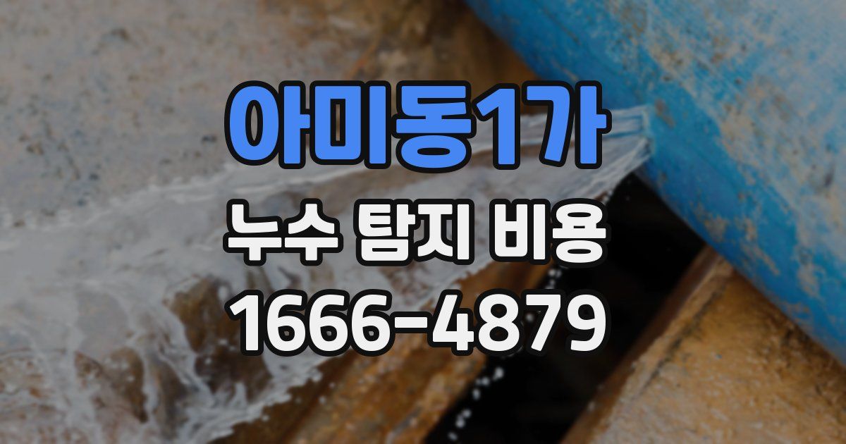 아미동1가 누수 탐지 비용
