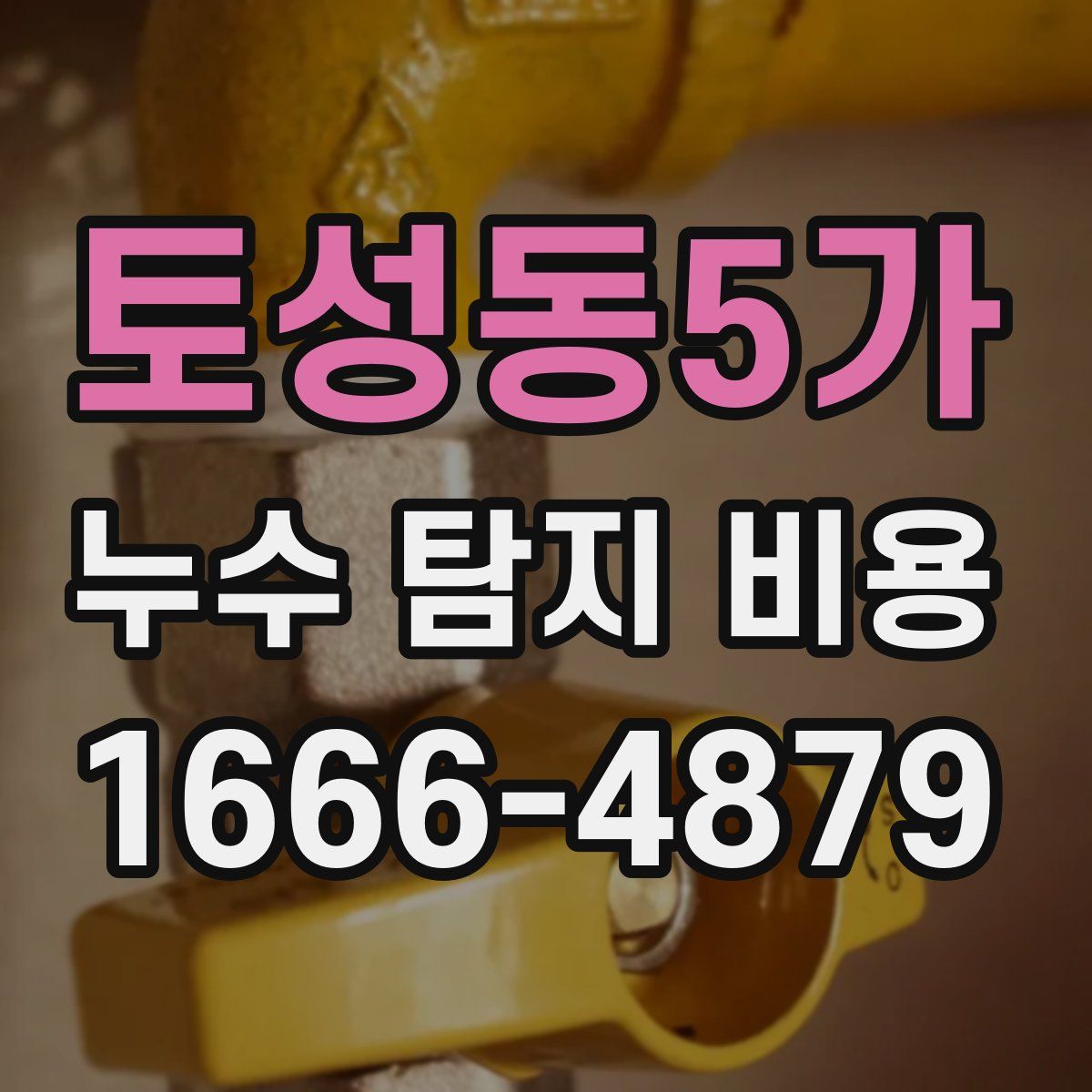 토성동5가 누수 탐지 비용