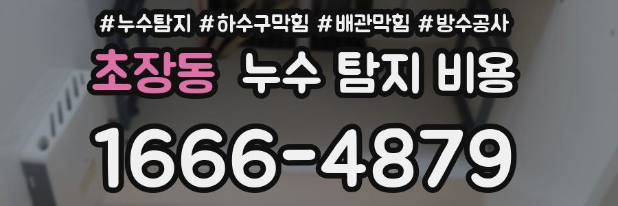 초장동 누수 탐지 비용