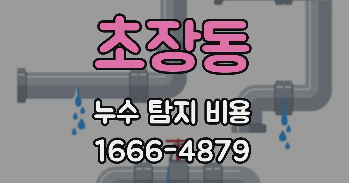 초장동 누수 탐지 비용