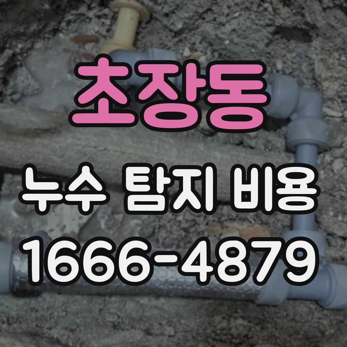 초장동 누수 탐지 비용