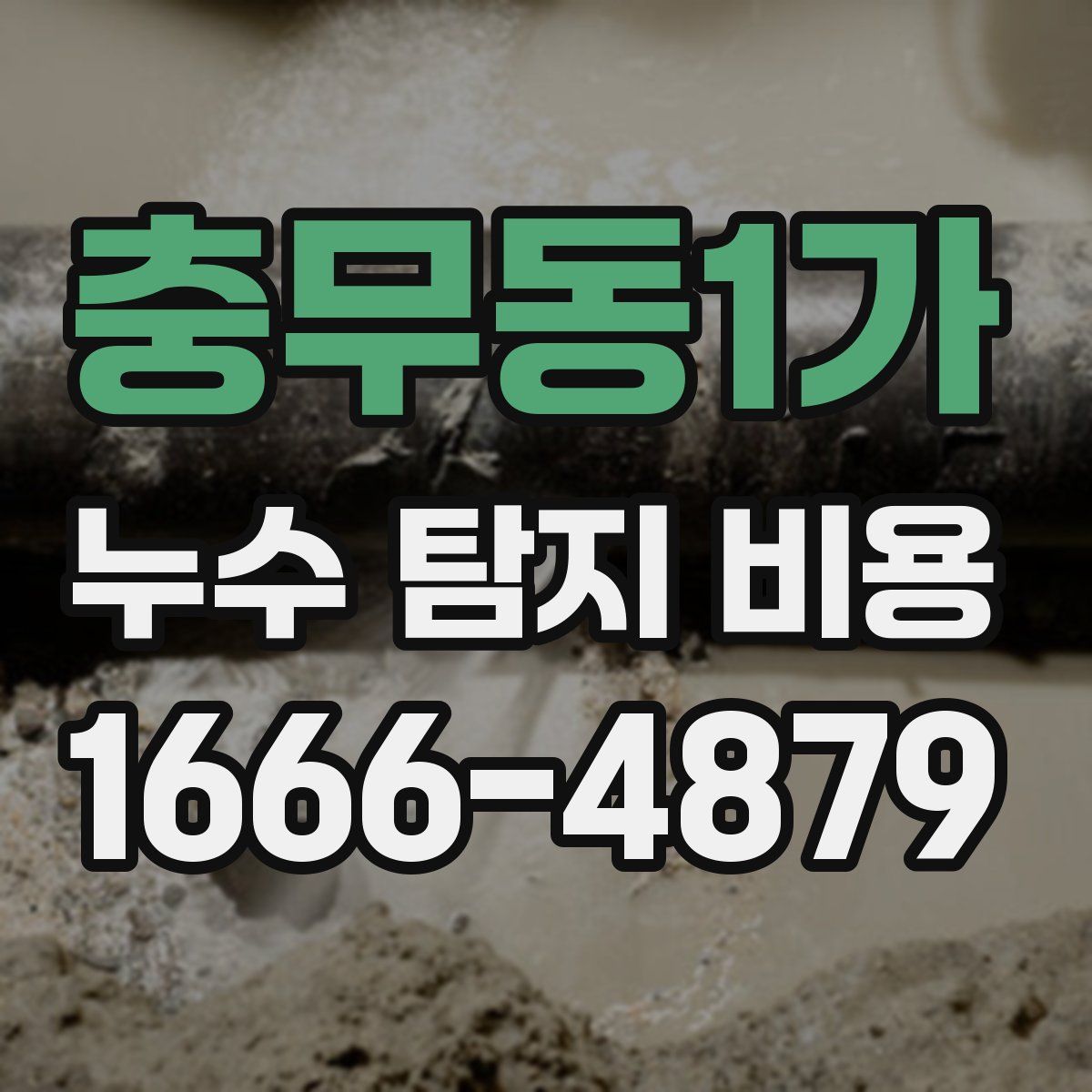 충무동1가 누수 탐지 비용