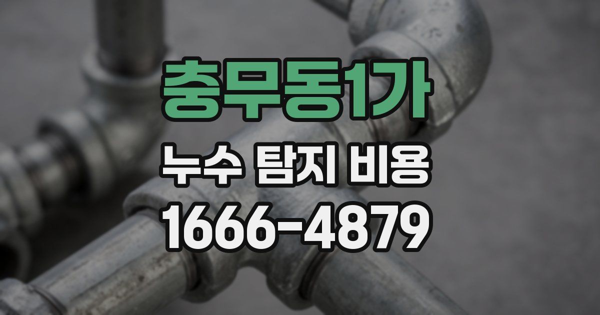 충무동1가 누수 탐지 비용