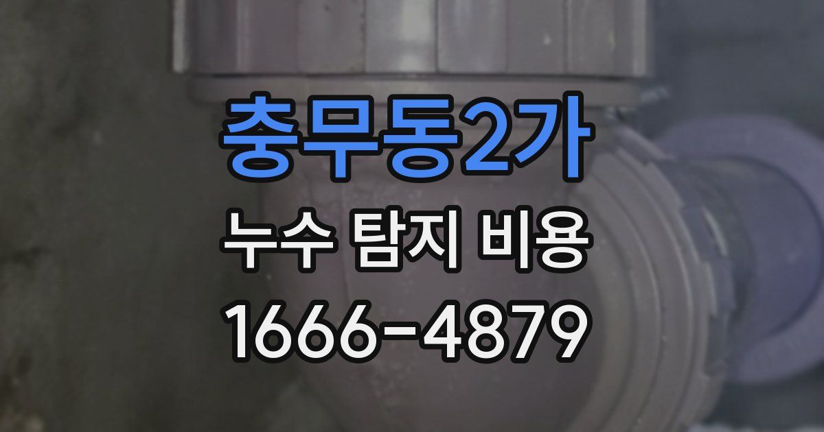 충무동2가 누수 탐지 비용