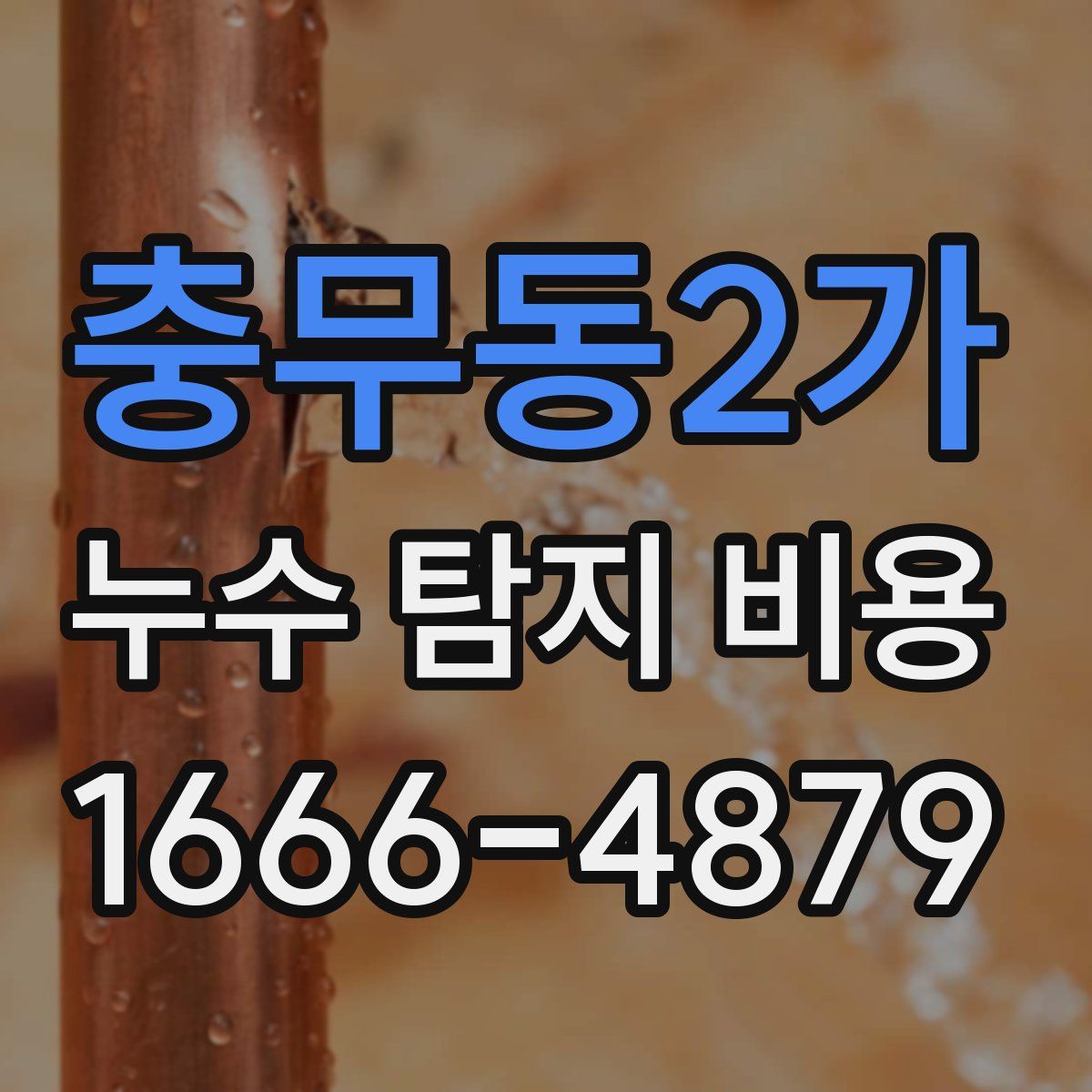 충무동2가 누수 탐지 비용