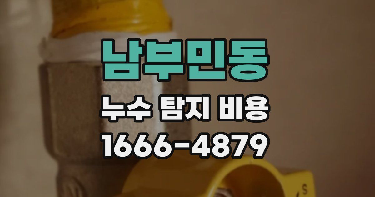 남부민동 누수 탐지 비용