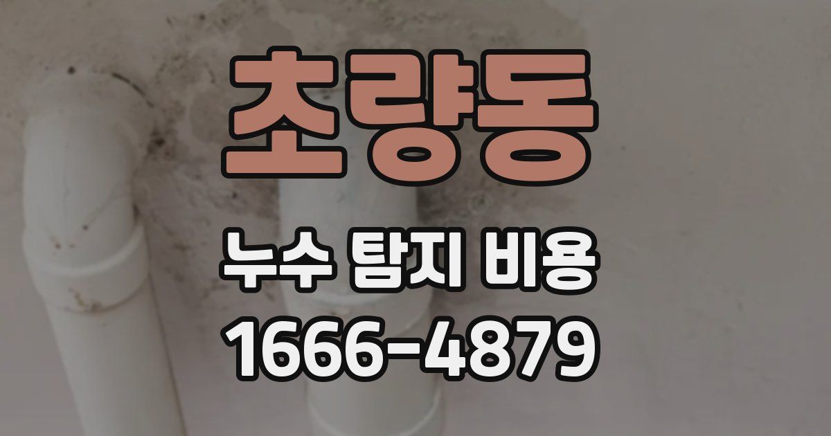 초량동 누수 탐지 비용