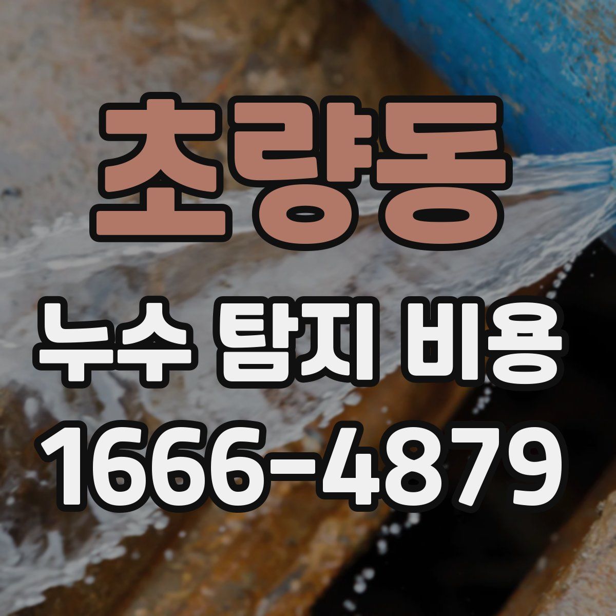 초량동 누수 탐지 비용
