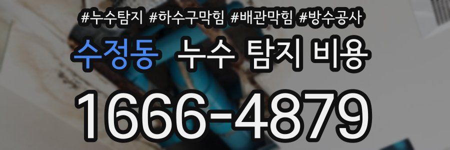 수정동 누수 탐지 비용