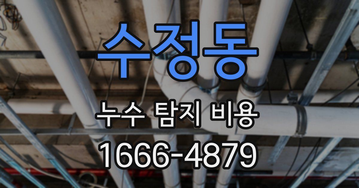 수정동 누수 탐지 비용