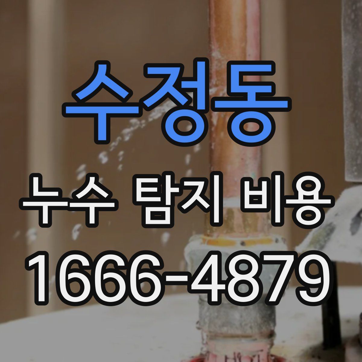 수정동 누수 탐지 비용
