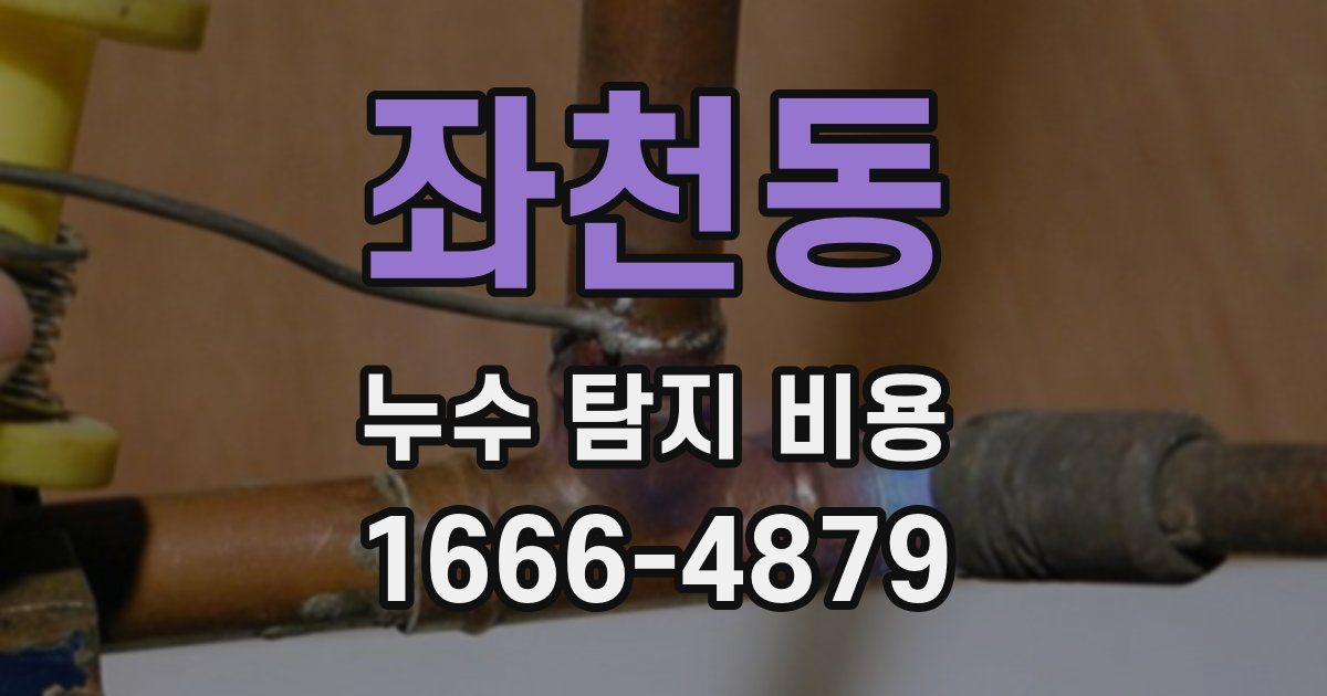 좌천동 누수 탐지 비용