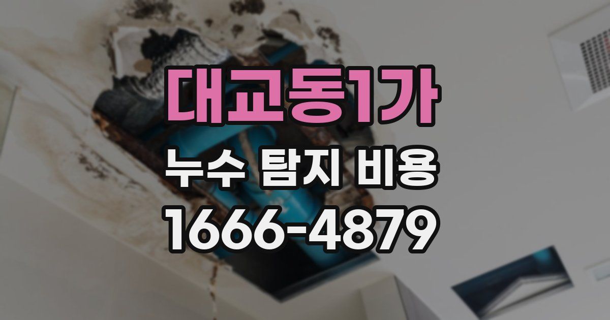 대교동1가 누수 탐지 비용