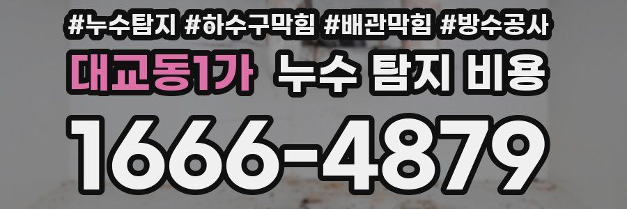 대교동1가 누수 탐지 비용