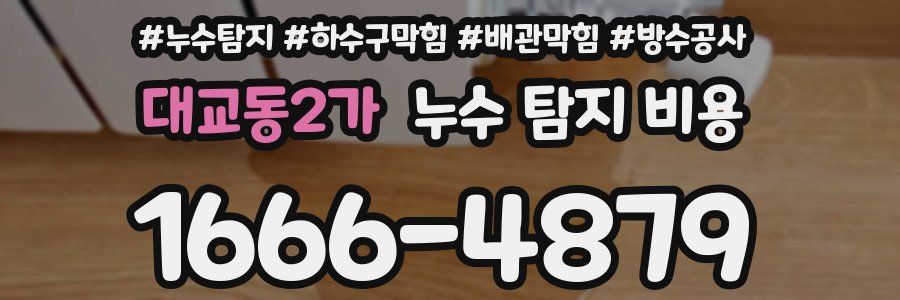 대교동2가 누수 탐지 비용