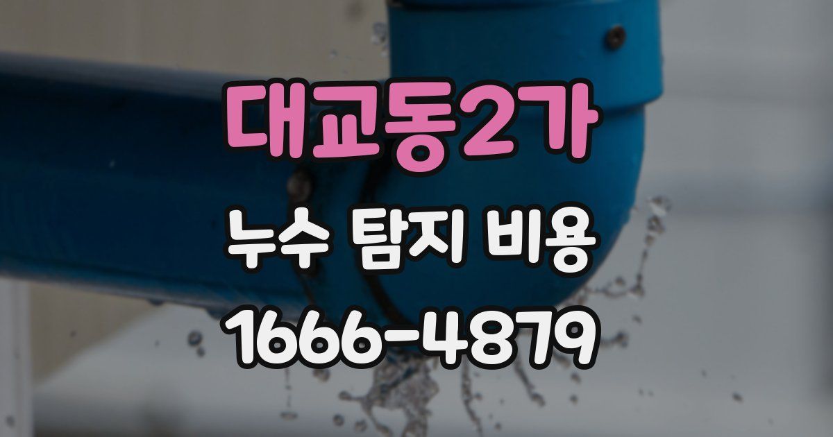 대교동2가 누수 탐지 비용
