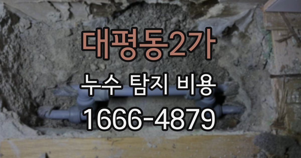 대평동2가 누수 탐지 비용