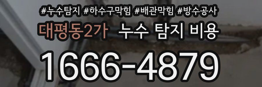 대평동2가 누수 탐지 비용