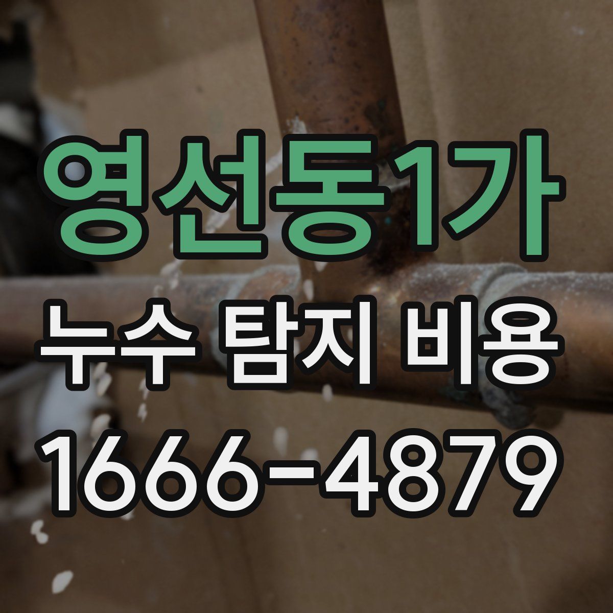 영선동1가 누수 탐지 비용