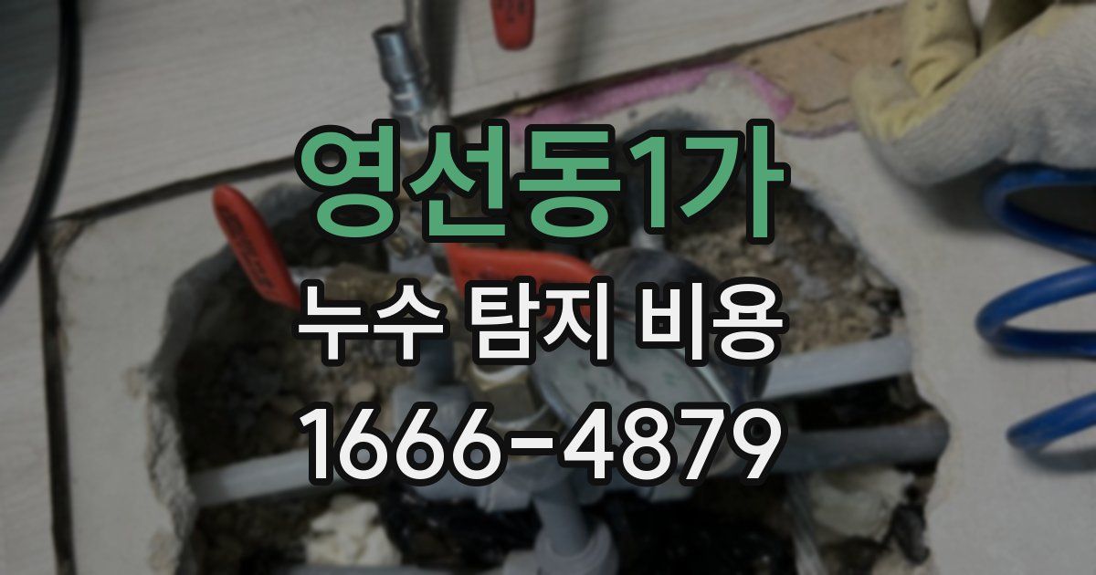 영선동1가 누수 탐지 비용