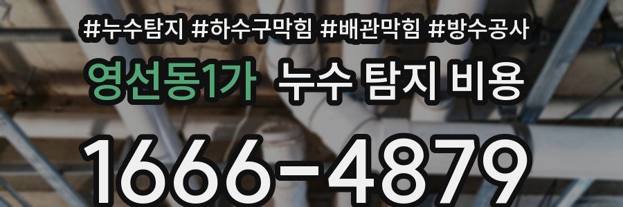 영선동1가 누수 탐지 비용
