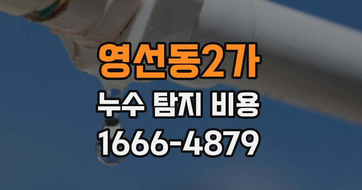 영선동2가 누수 탐지 비용