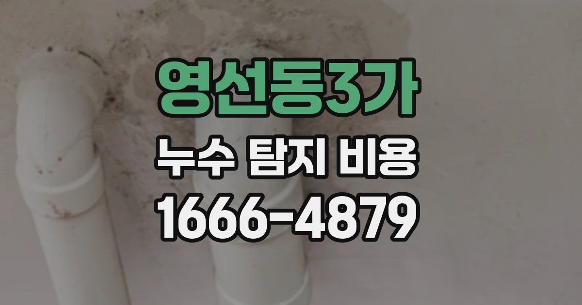 영선동3가 누수 탐지 비용
