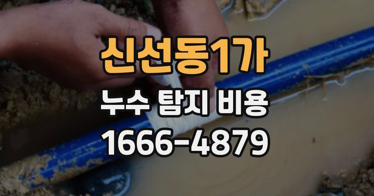 신선동1가 누수 탐지 비용