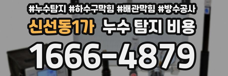신선동1가 누수 탐지 비용