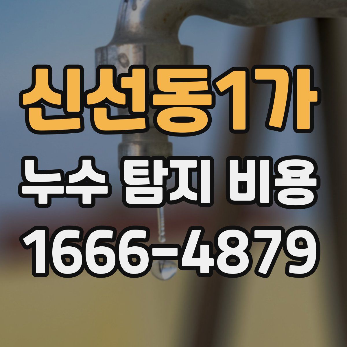 신선동1가 누수 탐지 비용
