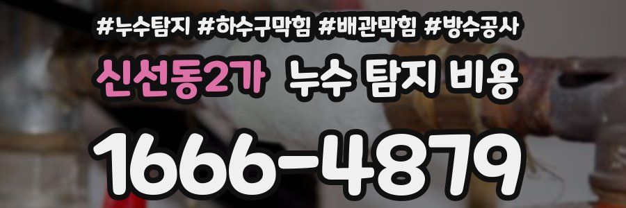 신선동2가 누수 탐지 비용