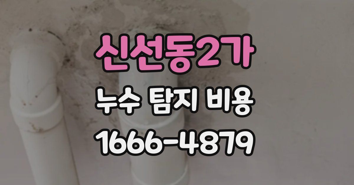 신선동2가 누수 탐지 비용
