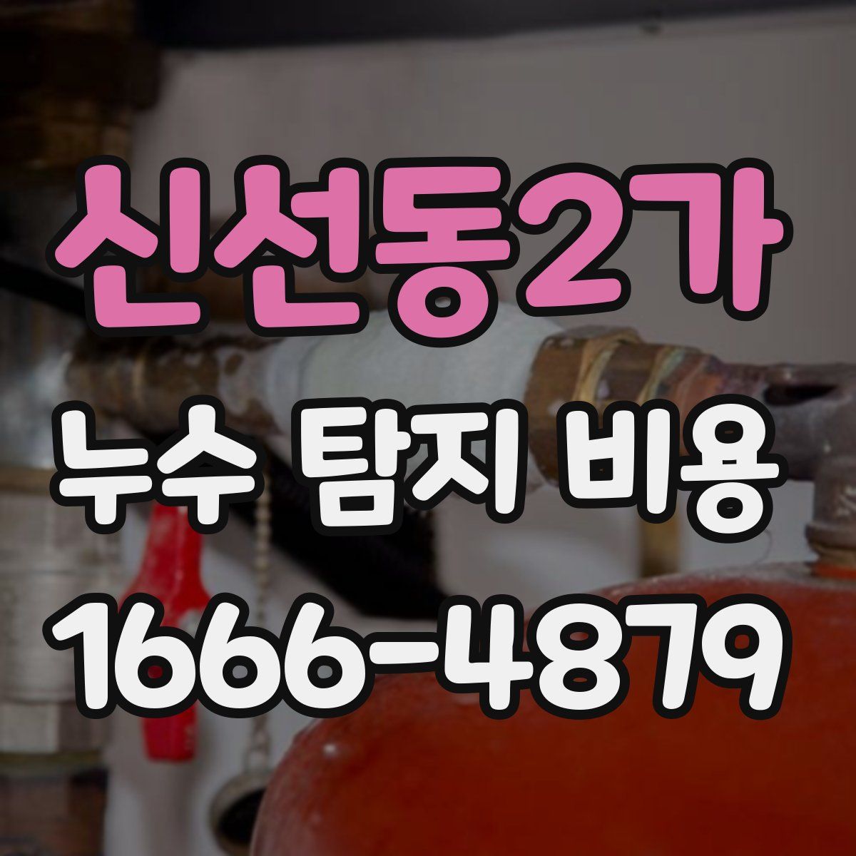 신선동2가 누수 탐지 비용
