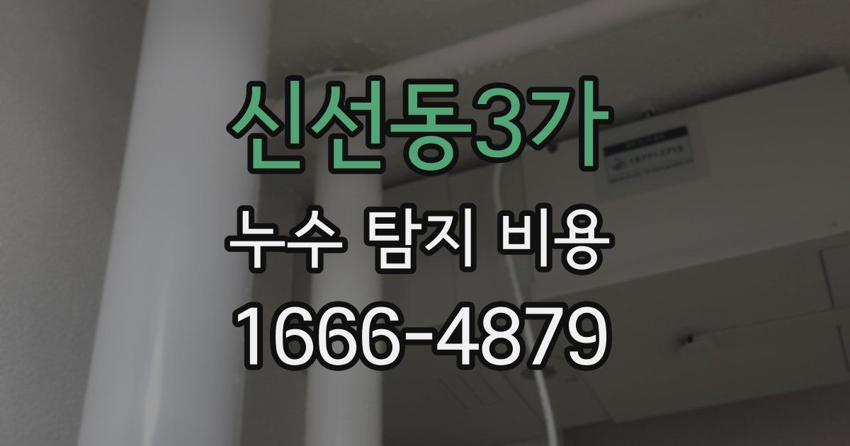 신선동3가 누수 탐지 비용