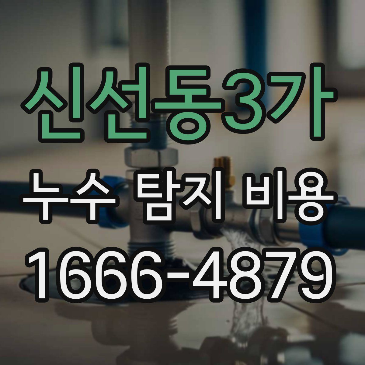 신선동3가 누수 탐지 비용
