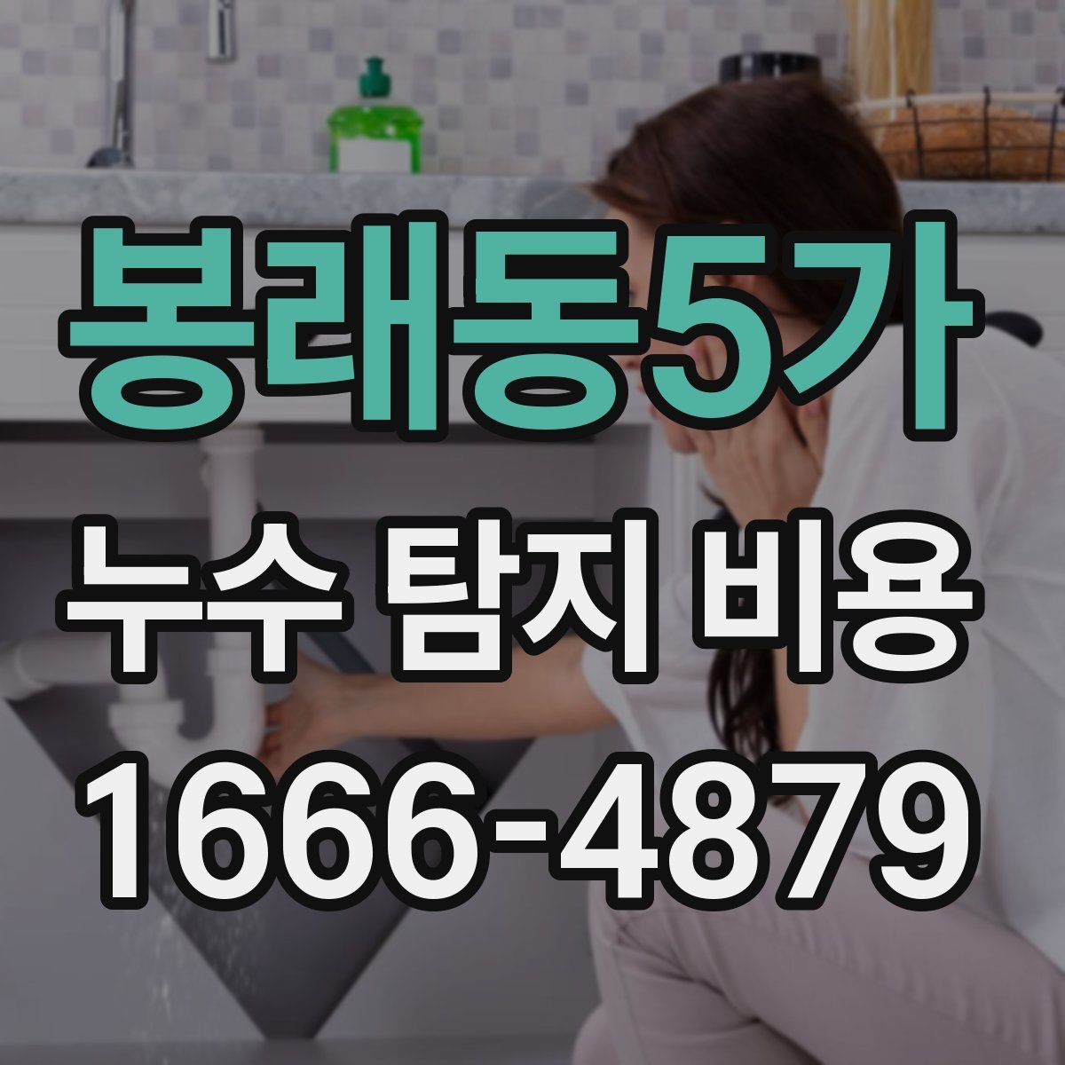 봉래동5가 누수 탐지 비용
