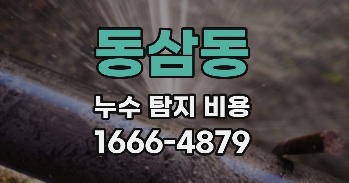 동삼동 누수 탐지 비용