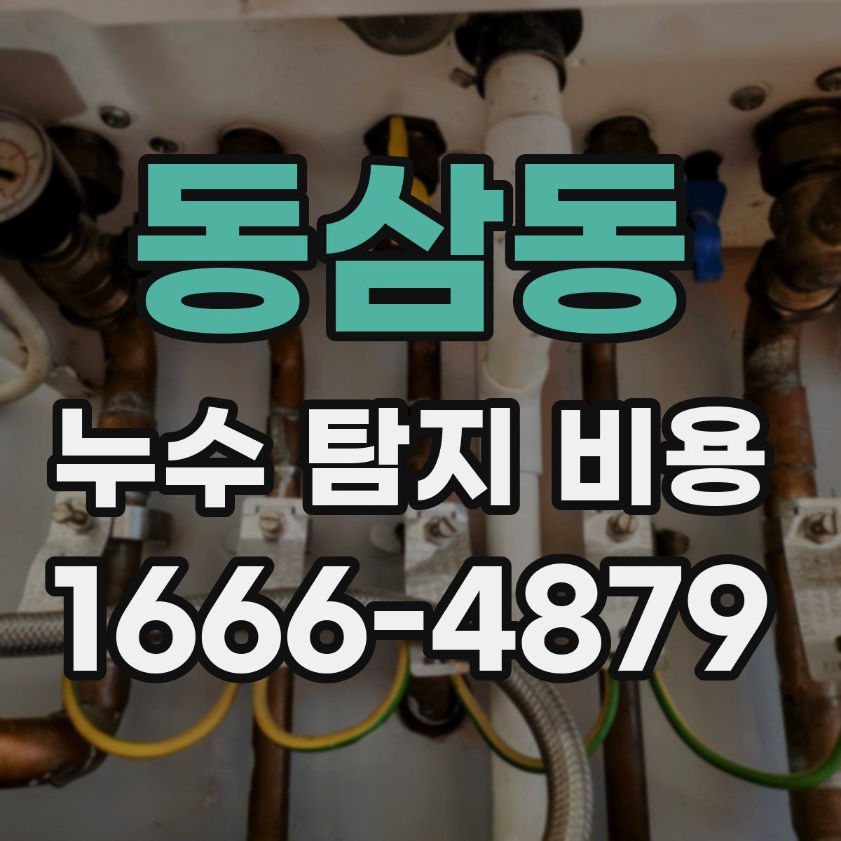 동삼동 누수 탐지 비용