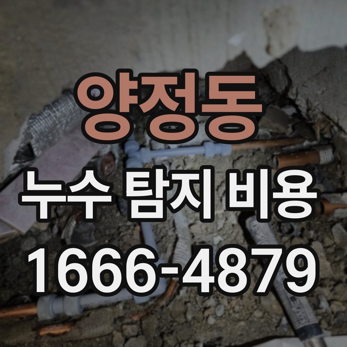 양정동 누수 탐지 비용