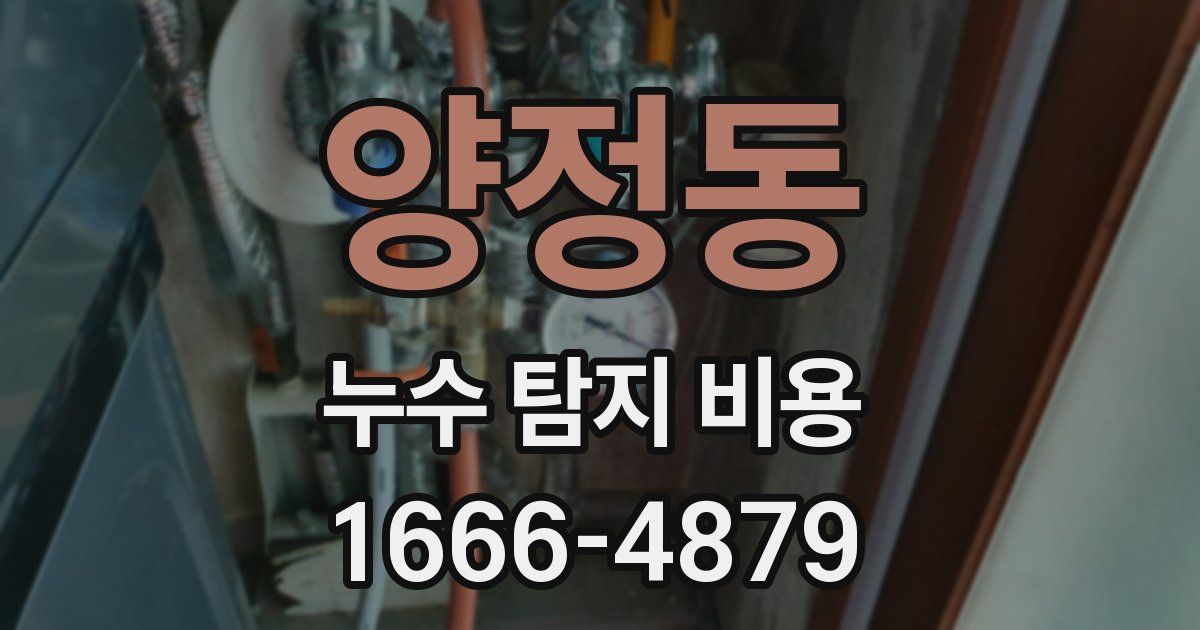 양정동 누수 탐지 비용