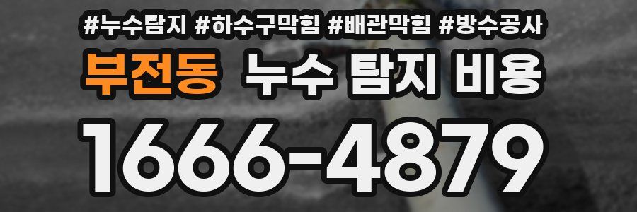 부전동 누수 탐지 비용