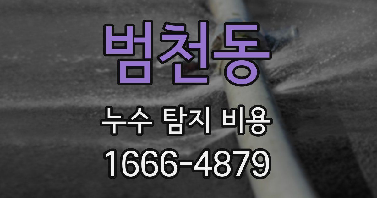 범천동 누수 탐지 비용