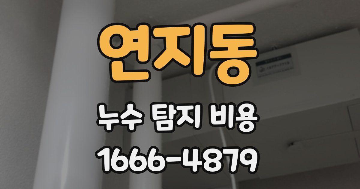 연지동 누수 탐지 비용