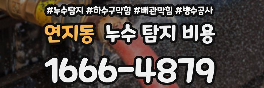 연지동 누수 탐지 비용
