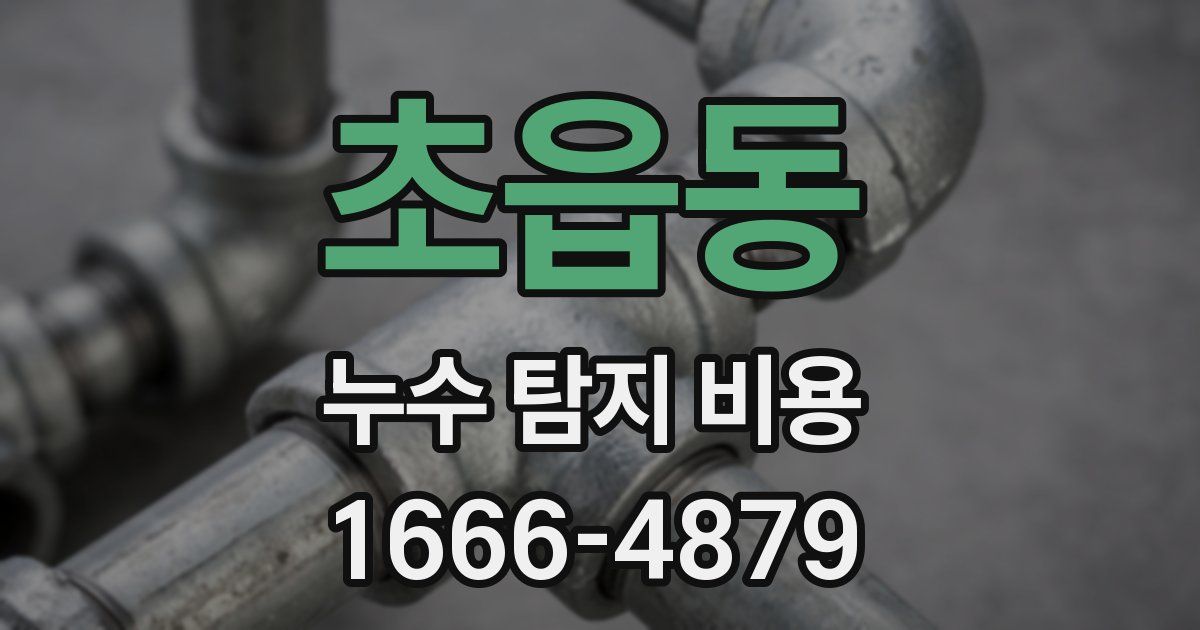 초읍동 누수 탐지 비용