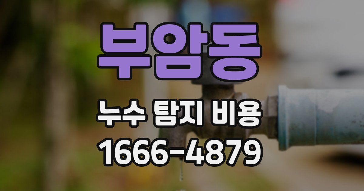 부암동 누수 탐지 비용