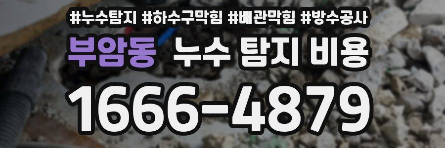 부암동 누수 탐지 비용